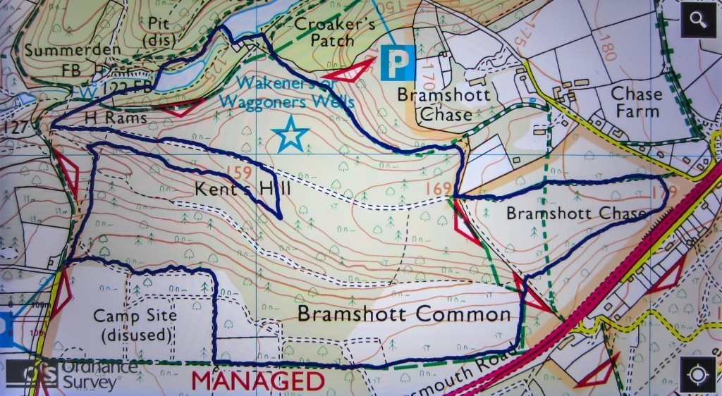 Bramshott & Waggoner's Loop