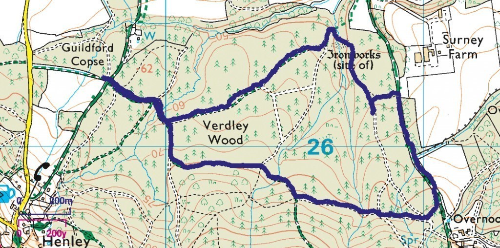 Henley Walk (Muddy)